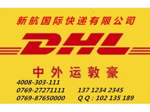 專業(yè)高效，鏈接全球 企石DHL快遞服務(wù)與南城新航貨運(yùn)倉儲(chǔ)解決方案